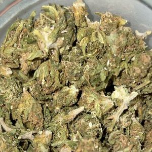 Meet your Posher, Jesse